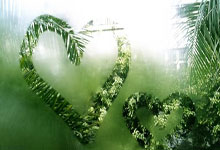 转会期突围战来临，门兴格拉德巴赫围绕欧篮联遗憾出局，气氛紧张，轮换策略成焦点的简单介绍-yy易游集团