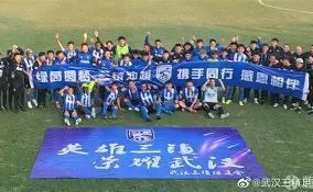 什么导致了武汉三镇的闪崩